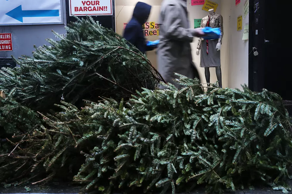 How Indiana Families Can Recycle Their Christmas Trees the Right Way