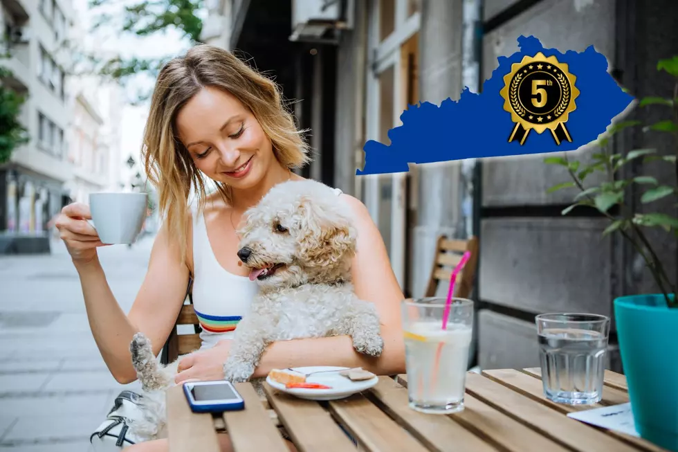 Kentucky City Named the 5th Most Pet-Friendly Place in America